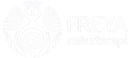 light logo